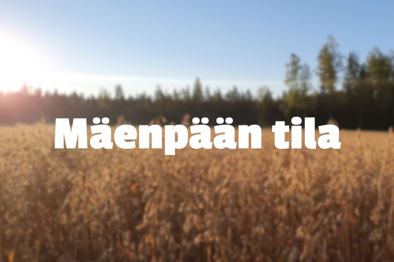 Mäenpään tila