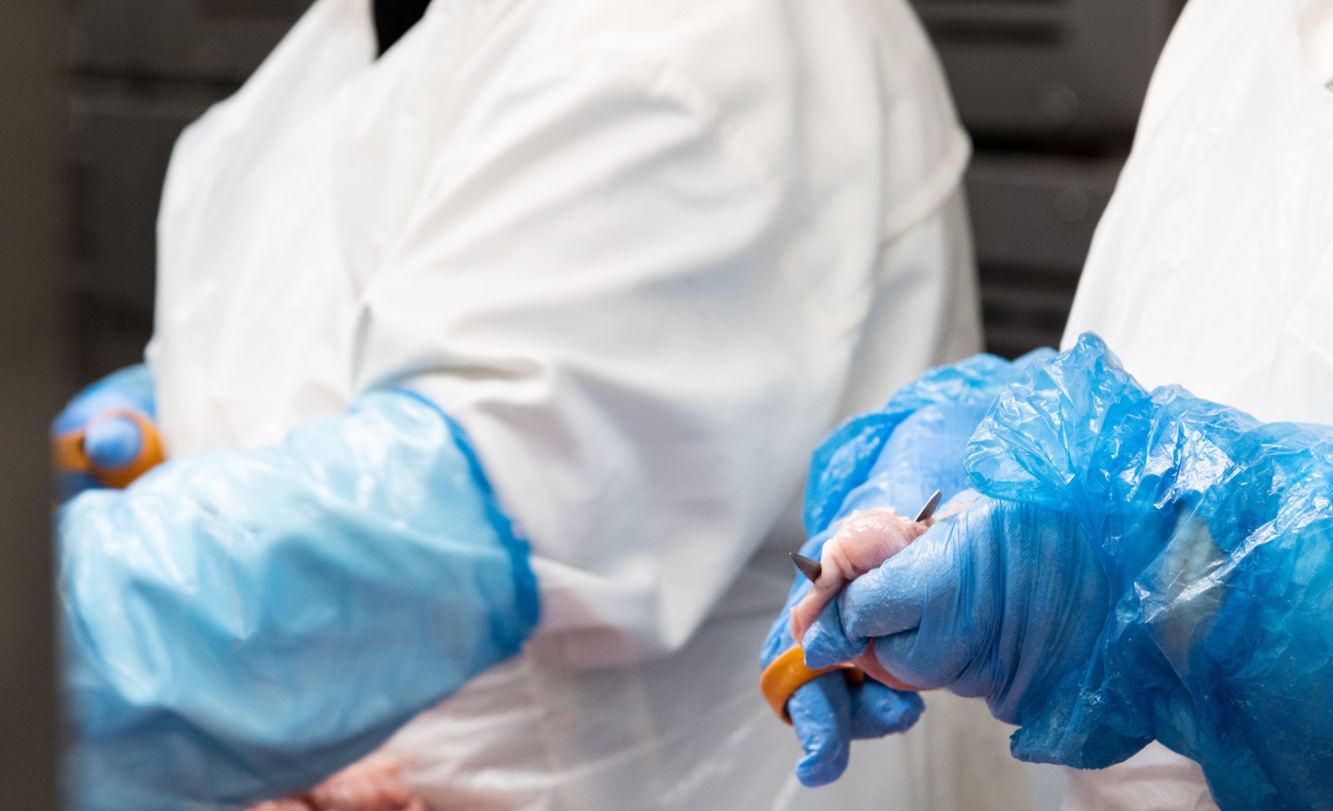 Raaka-ainehävikin vähentäminen